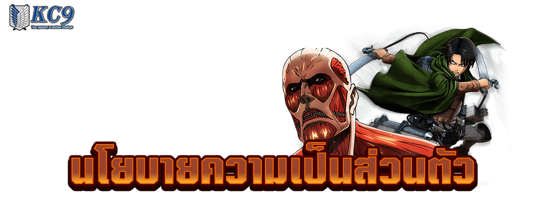 นโยบายความเป็นส่วนตัว