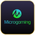 microGaming.27e7087b